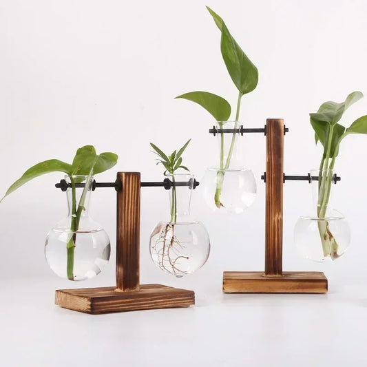 Hydroponic Glass Plant Terrarium Vase